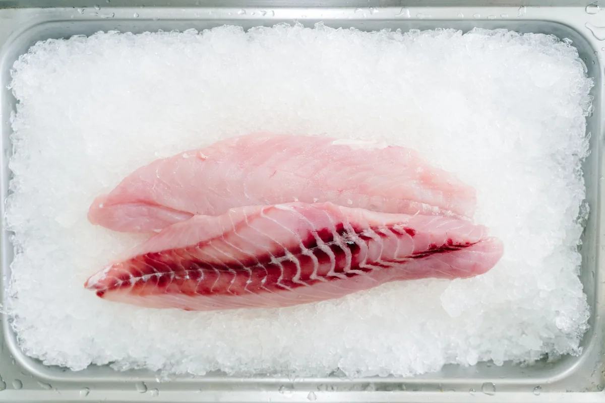 Filete de pescado blanco sobre hielo picado dentro de una bandeja de acero con gotas de agua