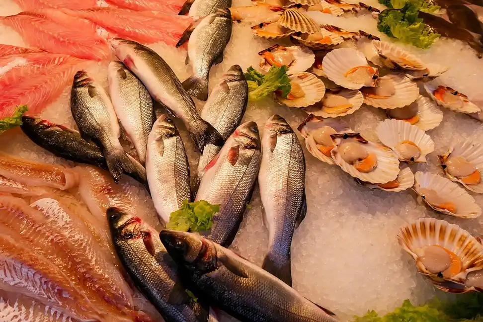Pescado entero, filetes y vieiras sobre hielo picado en un mostrador